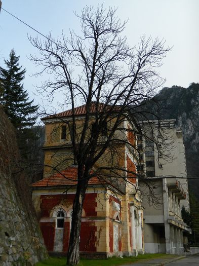 DSCN8722