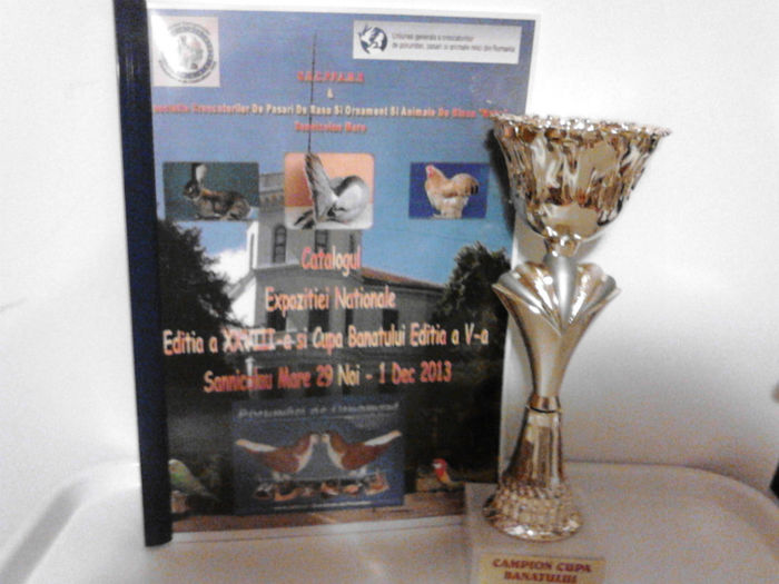 Campion Cupa Banatului 2013-Sannicolau Mare - TROFEE SI CAMPIONI