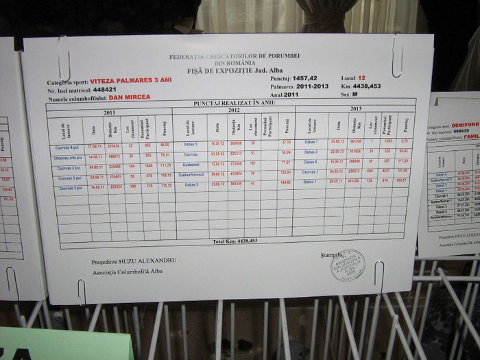 poze pt medias 011 - Expo Alba 2013