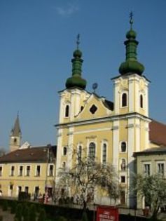 Biserica Romano-Catolica - 2--Contact -TG-MURES