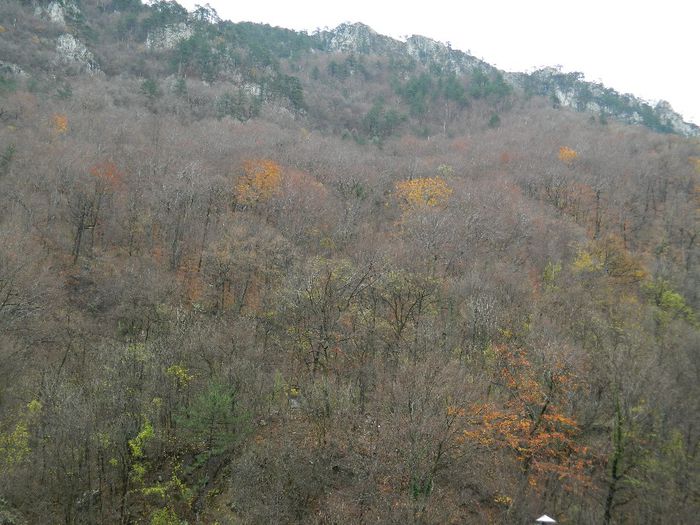 DSCN8768