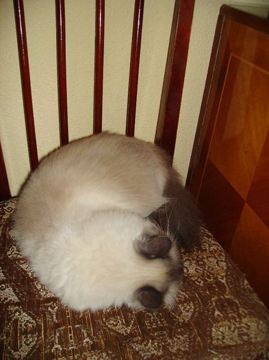 PICT0339