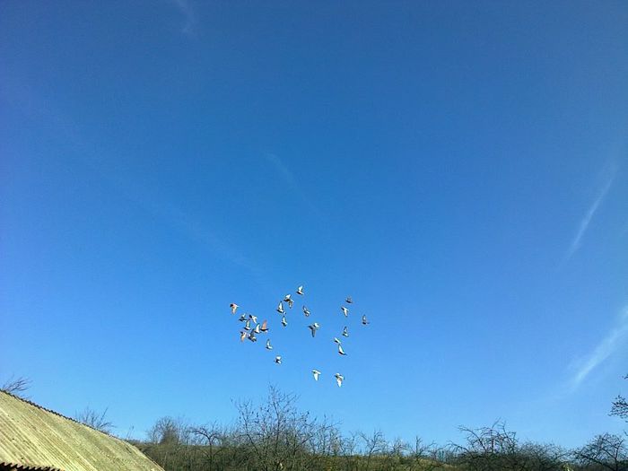 pregatirea pentru aterizare...