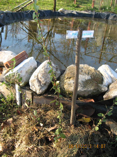 iar a doua zi, pe un soare minunat....