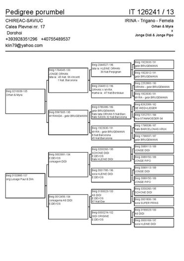1455925_10202692245408149_810910968_n - noile achizitii 2013