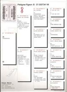 1457567_10202691601192044_1350904285_n - noile achizitii 2013