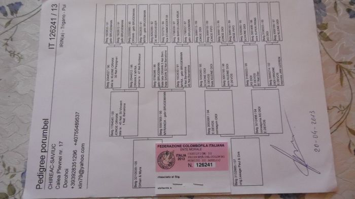 SAM_0683 - noile achizitii 2013