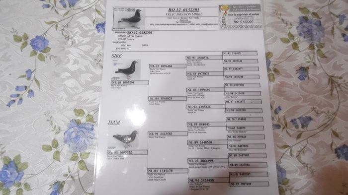 SAM_0690 - noile achizitii 2013