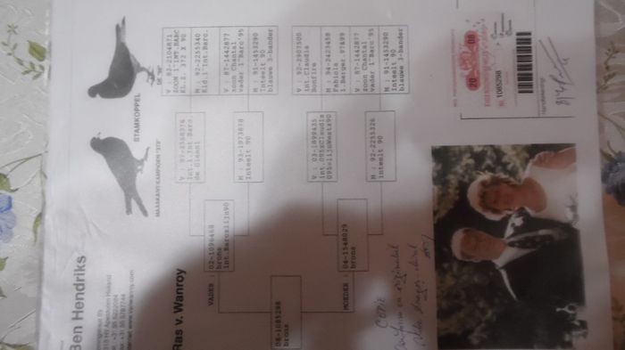 SAM_0693 - noile achizitii 2013