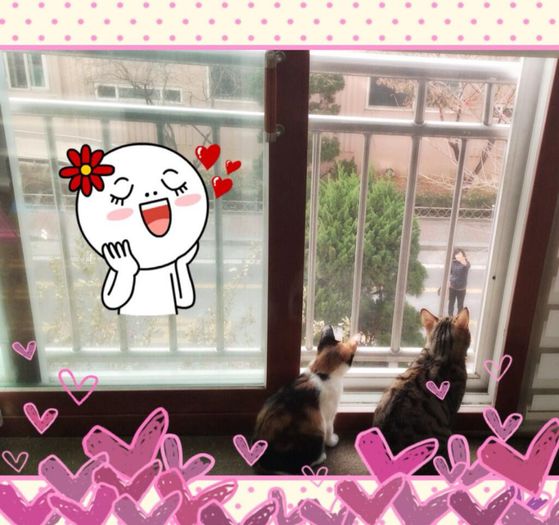 Dadoong & Bambi
