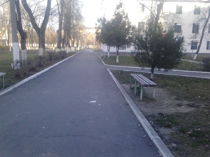 IMG_20131204_145547_838