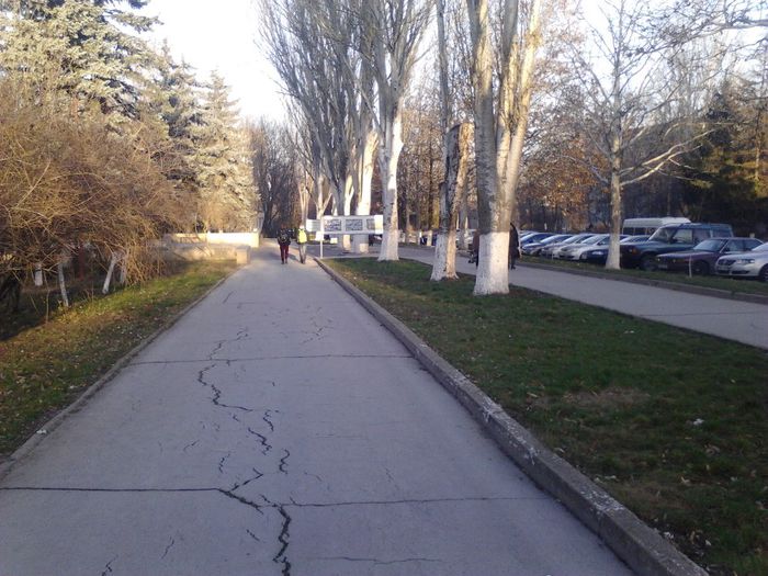 IMG_20131204_150259_314