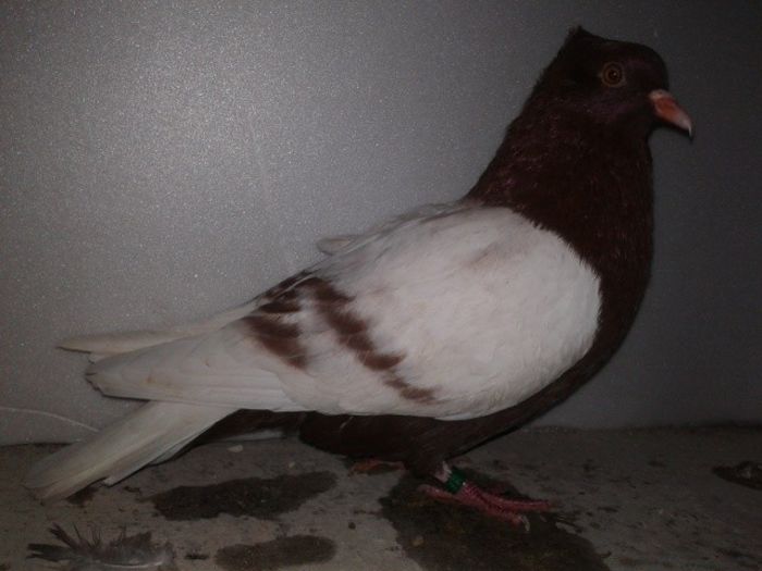 183
