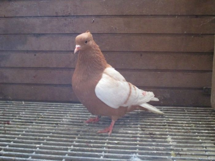 186