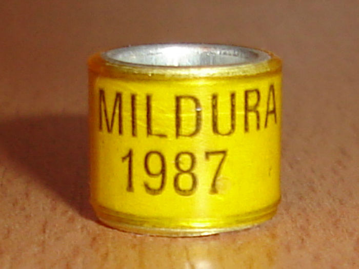 MILDURA 1987 - AUSTRALIA-MILDURA