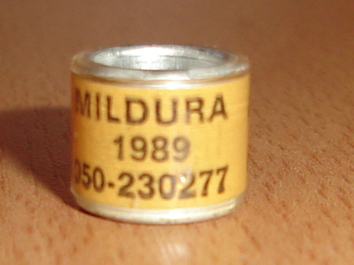 MILDURA 1989 - AUSTRALIA-MILDURA
