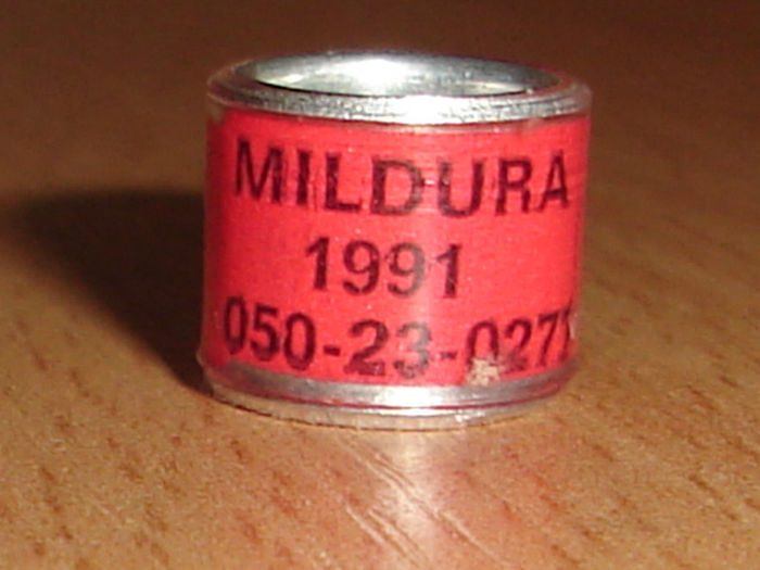MILDURA 1991 - AUSTRALIA-MILDURA