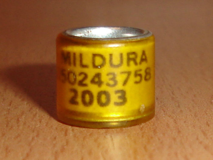 MILDURA 2003 - AUSTRALIA-MILDURA
