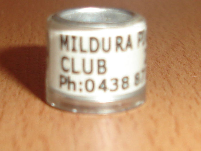 MILDURA 2010 - AUSTRALIA-MILDURA