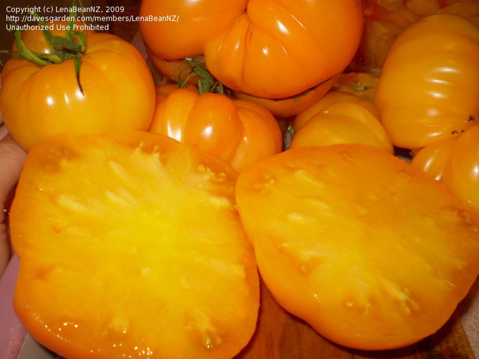 Tomate Amana Orange - De vanzare seminte -legume-mirodenii-flori-arbori