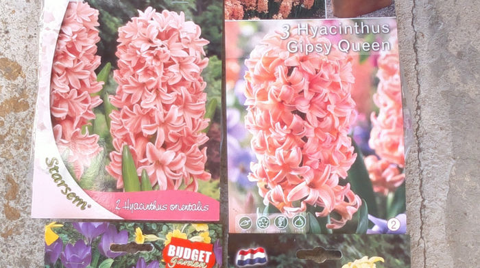 13.11.2013 376 - i -achizitii toamna 2013