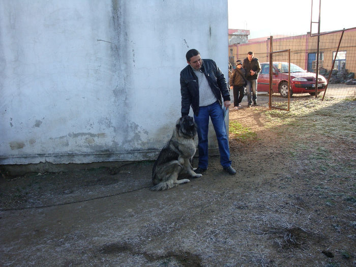 Pazniciu serei; ... și stăpânul lui. Un câine tânăr și frumos.
