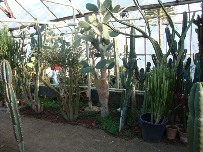 DSC03627