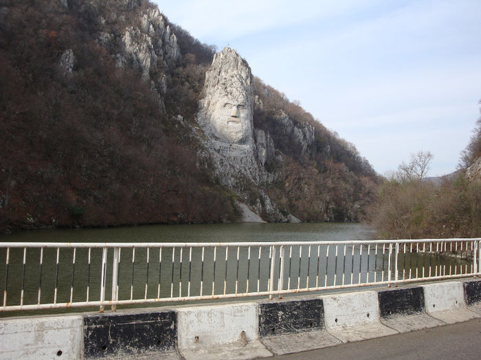 DECEBALUS REX