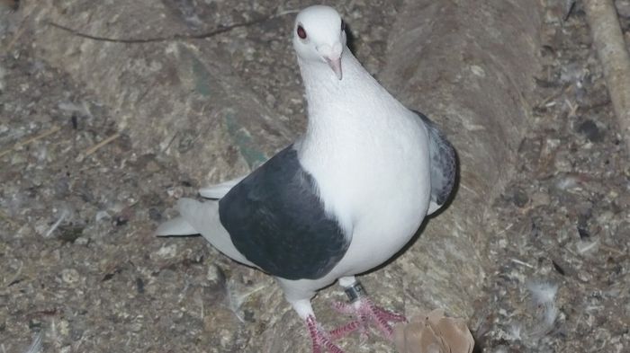 P1230025