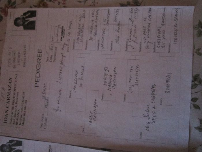 BUNIC DIN PARTEA MAMEI