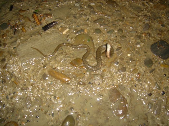 DSC00057 - Inundatii 2005 Onesti