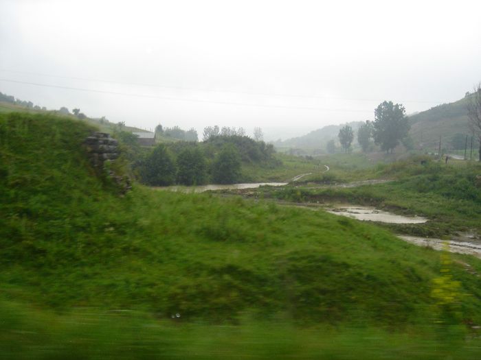 DSC00019