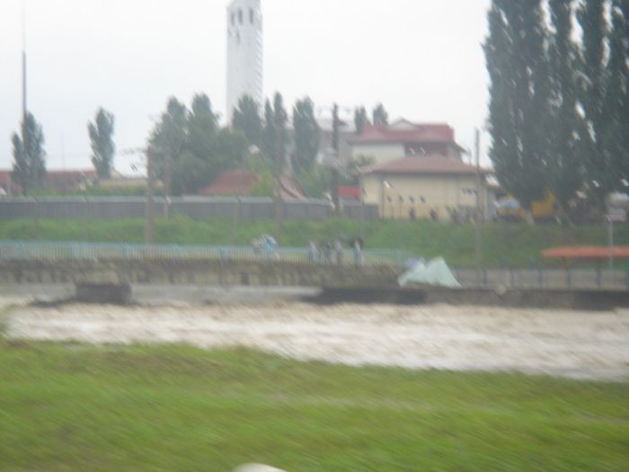 DSC00010
