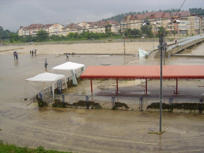 DSC00013