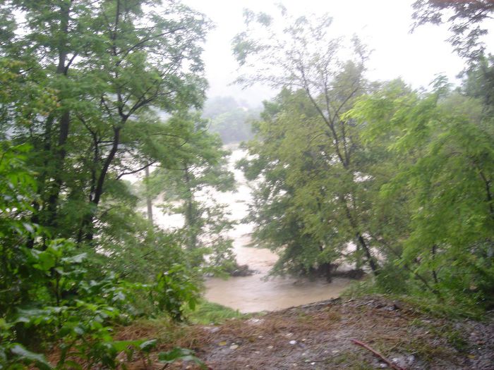 DSC00017