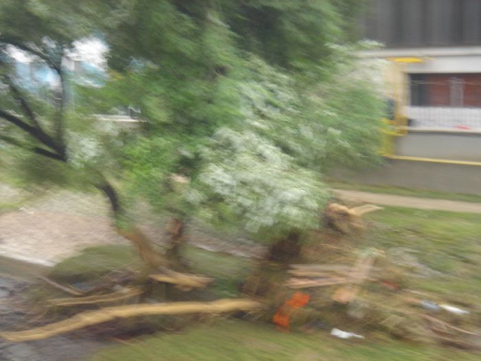 DSC00024