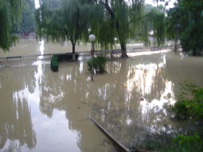 DSC00071 - Inundatii 2005 Onesti