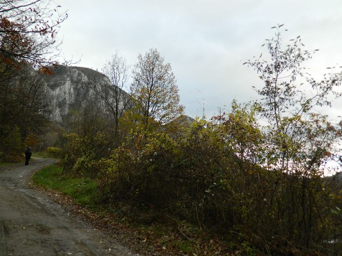 DSCN8882
