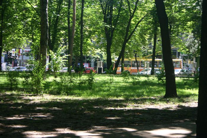 Изображение 162