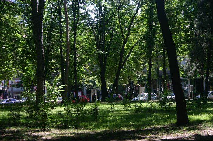 Изображение 163