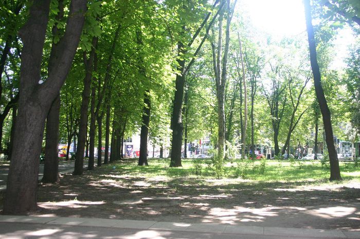 Изображение 167