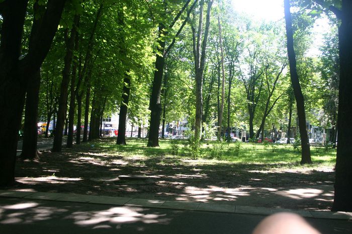 Изображение 170