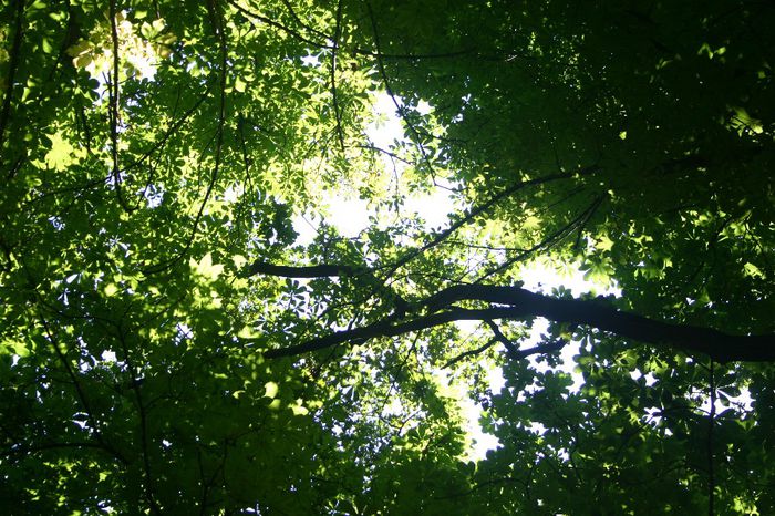 Изображение 175