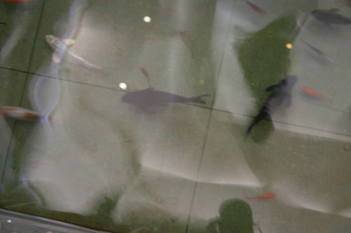 Изображение 176