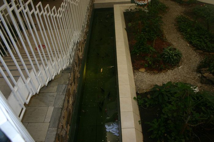 Изображение 181