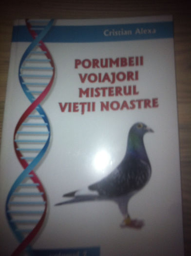 iphone 27.11.2013 140