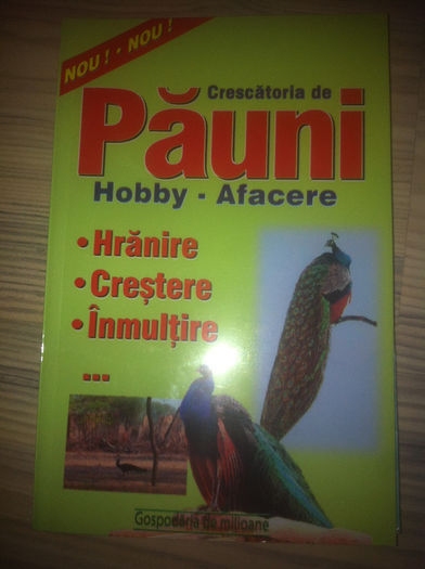 iphone 27.11.2013 142