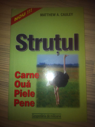 iphone 27.11.2013 145