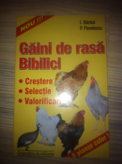 iphone 27.11.2013 147