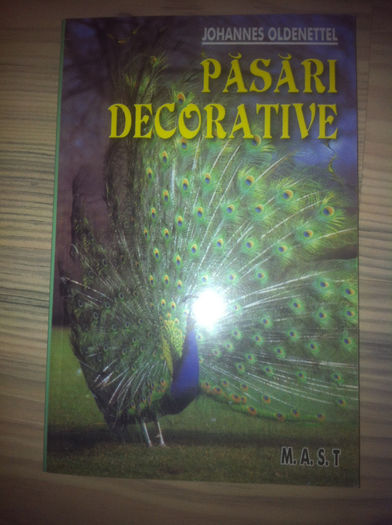 iphone 27.11.2013 149